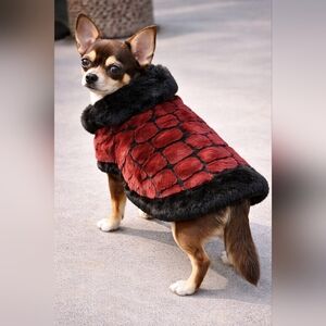 Luxurious Burgundy and Black Dog Coat